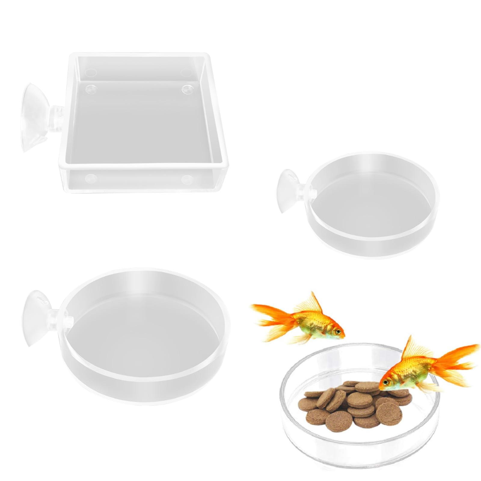 Aquarium Futternapf,Aquarium Futterschale,3 Stück Aquarium Garnelen Feeder,Fisch Garnelen Futternapf,Acryl Klar Garnelen Futternapf Tank Futternäpfe Mit Saugnapf,Futterschale Für Garnelen Im Aquarium