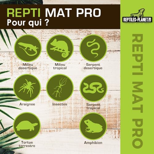 Reptiles Planet Repti Mat Pro – Heizmatte für Terrarium Tropical – 8 W / 15 x 20 cm