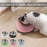 Fressnäpfe für Katzen,Futternäpfe Katzenfutter,Katzennapf Erhöht,Hundenapf rutschfest,Katzennapf Set,15°Geneigte Plattform,für Katze Welpe Futter und Wass,Herausnehmbarem Edelstahlnapf 200ML