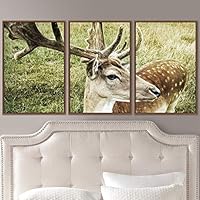 3 Piece Framed Canvas Wall Art Spiritual Being Animals Deer Expressive Impressionism Rustic - 16