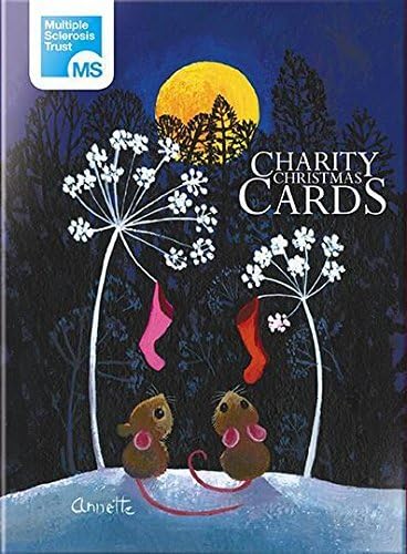 VNOOK Charity Christmas Card Box (ALM2465) - Moonlight Mice - Robins Hanging Stockings - Box of 12 Cards - 2 Designs
