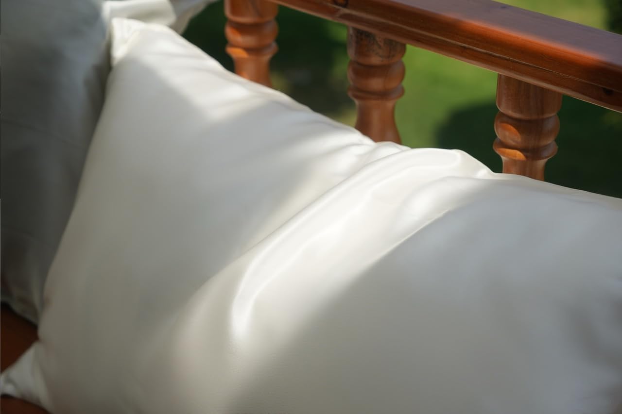 100% Mulberry Silk Pillowcase Queen Size, 22 Momme, 100% Pure Silk, Hidden Zipper, Hypoallergenic (White)