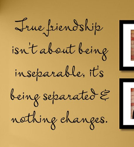Amazon.com: True Friendship Isn't About Being inseperable, It's Being ...