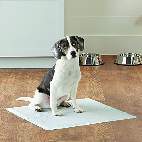 Croci Super Windel - Hygienische Matten für Hunde 60 x 60 cm 50 Stück - Unterlagen für Hunde und Haustiere, für Hund und Katze pinkeln, ultra-saugfähig, Einweg, reiß- und geruchshemmend