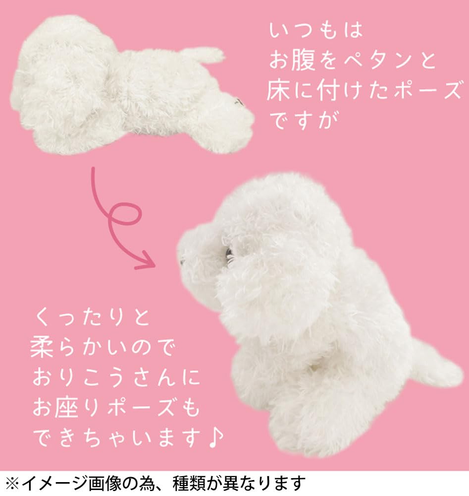 Amazon.co.jp: モンスイユ ぬいぐるみ チワワ 犬 パプス 10614