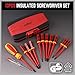 1000V Insulated Electrician Screwdriver Set - 13-Piece Professional Electrical Screwdriver Set Insulation Handle CRV Steel Magnetic Phillips Slotted Pozi Torx Tips VDE & GS Certified
