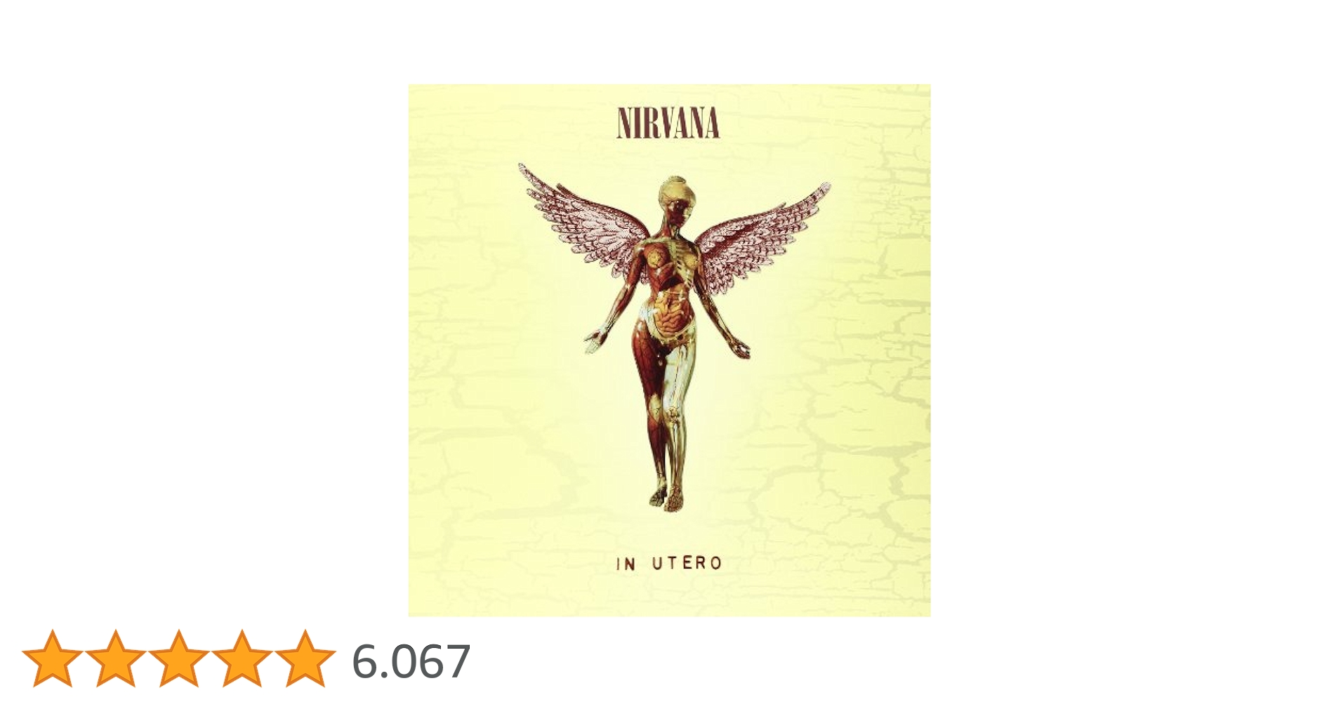 洋楽 [3CD+1DVD] In Utero 20th Anniversary 洋楽 [3CD+1DVD] In Utero 20th Anniversary Amazon.com: In