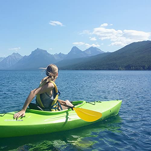 The 20 Best Kayak Paddles of 2024 [Verified] Cherry Picks