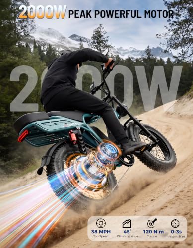 Jasion RetroVolt Max Dual Battery E-Bike