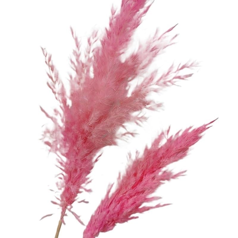 Pampas Grass Decorativo Boho 45cm Multicolor Pack 5