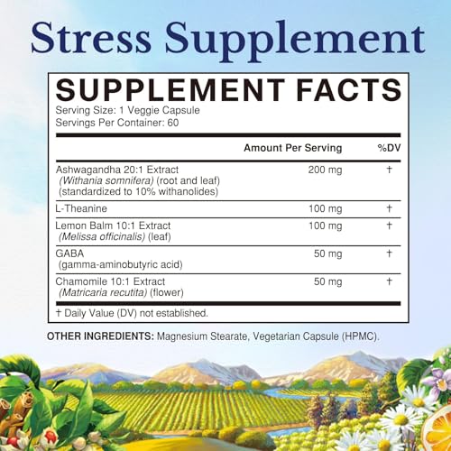 Vitalitown Stress Support Supplement, Calming Blend of Ashwagandha, GABA, L-Theanine, Lemon Balm, Natural Cortisol Response, Ease Stress & Tension, Promote Relaxation & Mental Focus, 60 Vegan Caps - Image 3