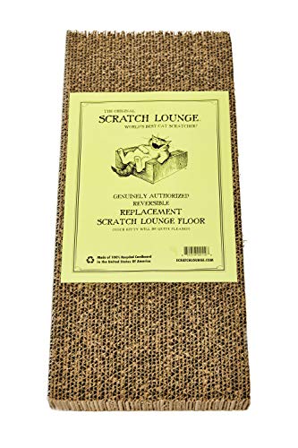 https://m.media-amazon.com/images/I/51Xgp7xpHAL._SL500_.jpg