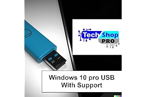 OEM Windows 10 Home and Professional Recovery USB