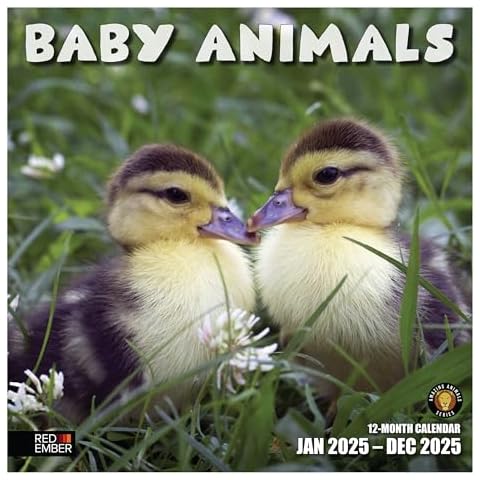 RED EMBER Baby Animals 2025 Wall Calendar 12 Month | 12" x 24" Open | Thick & Sturdy Paper | Giftable Animal Calendar 2025 | Baby Animals Calendar 2025 Cover