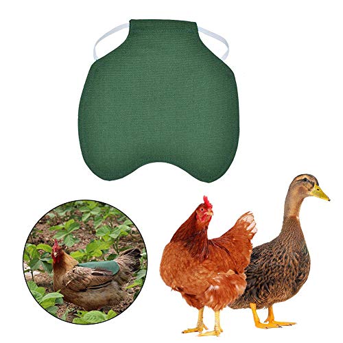 Wood.L Single Strap Chicken Apron/Saddle, Standard Chicken Saddle Hen Apron Feather Fixer Wing Back Protector for Poultry(Protect Back and Wing) adorable
