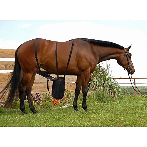 Missstore Male Equine Urine Manure Bag,Horse Pee Bag,Equine Urine Manure Collector,Durable And Waterproof,Machine Washable,Removable Inner Bag With Velcro (Equine Urine And Manure Bag) #TOP1