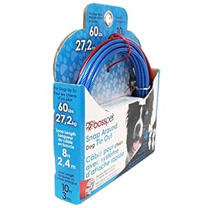 Boss Pet Q2515 000 99 10′ Large Dog Snap Around Pdq Tie-Out