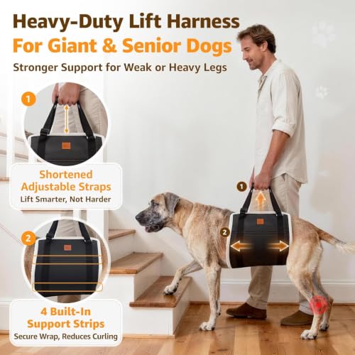 Image of Adjustable Heavy Duty Dog Lift Harness for Giant Dogs Hind Leg Support