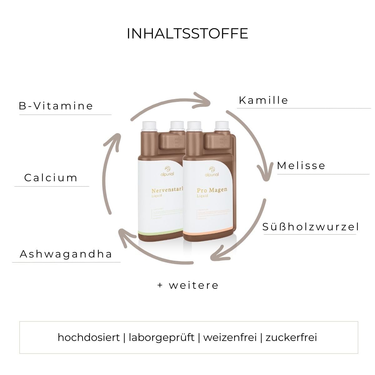 Pacchetto di riposo gastrico – Mangime complementare per cavalli con fabbisogno alimentare nella zona dello stomaco – combinazione di pro stomaco & nervoso – sviluppato dal veterinario