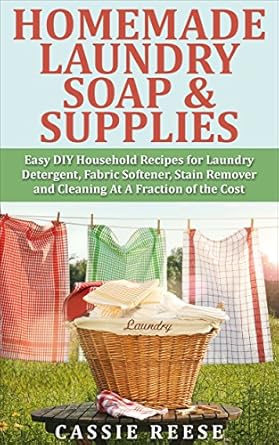 Homemade Laundry Soap & Supplies: Easy DIY Household Recipes for ...