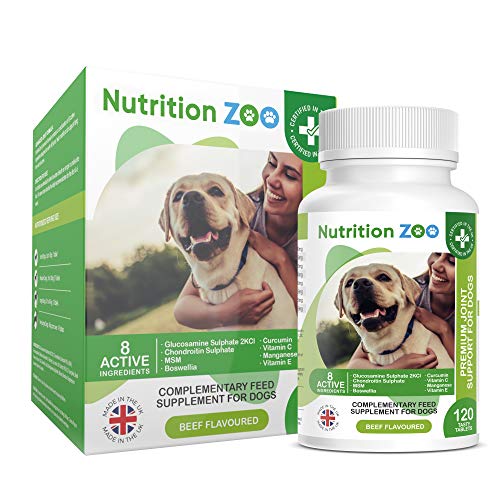 healthspan glucosamine for dogs