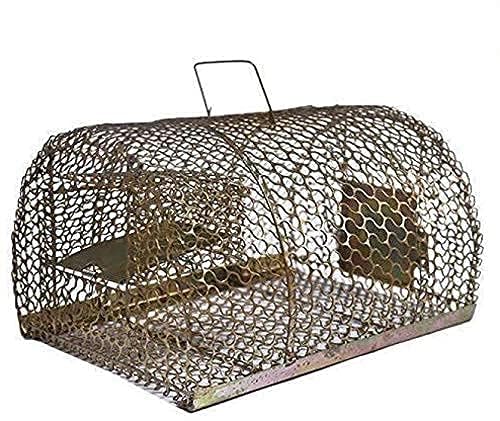 Balaji Enterprises Iron Durable Trap/Cage for Catching Rat/Mouse/Rodent/Chipmunk/Squirrels, Humane (Big Size, Golden) (Pack of 1) (B0CR79DJ5N) Amazon Price History, Amazon Price Tracker