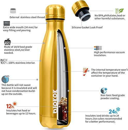 Image of BJPKPK 17 oz Insulated Water Bottle, Stainless Steel Flask, Leak Proof