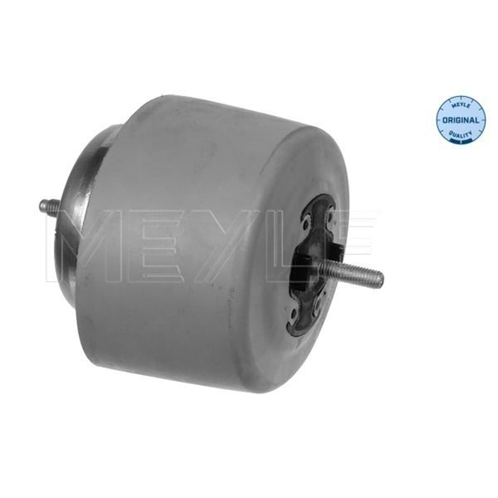 MEYLE Supporto motore Supporto idraulico Anteriore Sx Compatibilità con AUDI A4 Avant 8ED, B7 100 199 0084