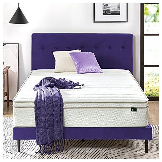 Zinus 12 Inch Foam and Spring Mattress / CertiPUR-US Certified Foams / Mattress-in-a-Box, Queen