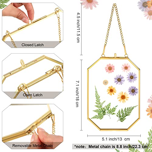 4 Pieces Hanging Glass Floating Frame 5 X 7 Inch Double Clear Pressed Flower Frames For Plant Photo Dried Home Decor (Gold) #TOP1