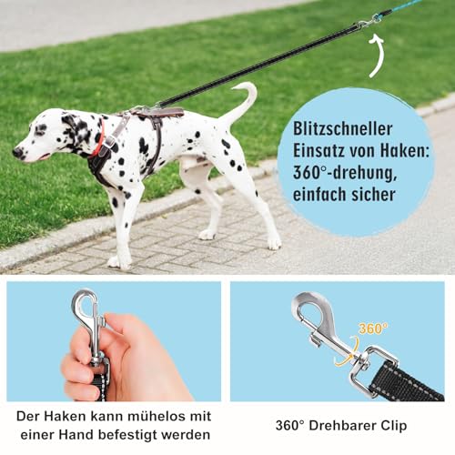 Aystkniet Schleppleine 5M für Hunde, Hundeleine mit Abnehmbare Elastische Kordel | Abschließbarer Haken | Gepolsterter Griff, Lange Laufleine Trainingsleine für Mittlere und Große Hunde