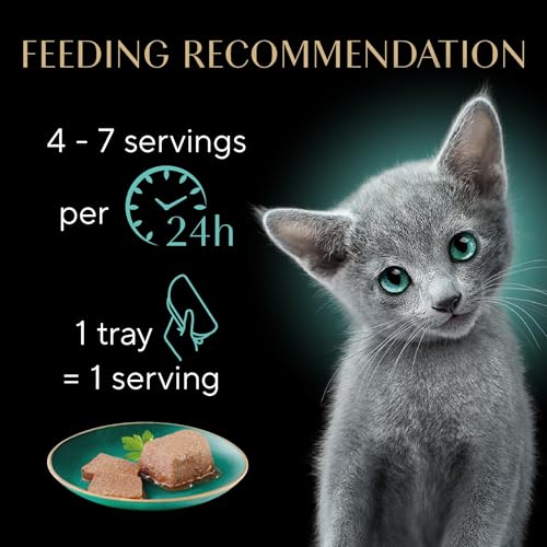 Image of Sheba Perfect Portions Kitten Wet Food,Pate Cat Food Wet Entree,Chicken Recipe and Salmon Recipe,2.6 oz. -Pack Trays (,24 Servings),12 Count (Pack of 4)