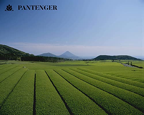 Matcha Ceremonial Grade 1 Oz Pouch And Sencha Japanese Green Tea Loose Leaf 3 Oz. Japanese Green Tea By Pantenger. Usda Organic. #TOP6