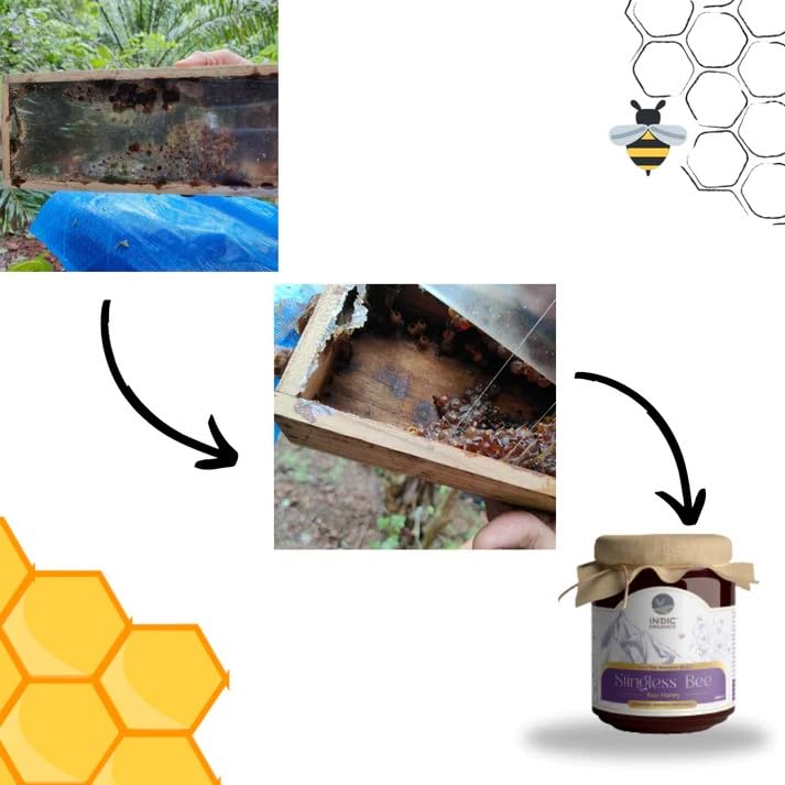 Image of Indic Organics Small Stingless Bee Raw Honey from Western Ghats | Wild-Flower, Unprocessed, Unheated & Unpasteurized | Produced by Small Stingless Bees | Cheruthen Honey (Small Stingless Bee Honey, 320 Gm)