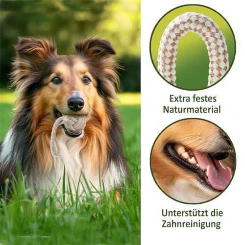 Romneys Tauball mit Seil für Hunde - Knotenball mit Wurfseil für Apportspiele - Unterstützt die Maulhygiene und Zahnpflege - Spielspaß für Ihren Hund