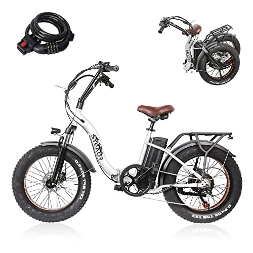 Electric Bicycle Fat Tire Ebike Mountain 20" Electric Bike with 500W Brushless Motor and 48V10AH Lithium Battery,Lock with Charger