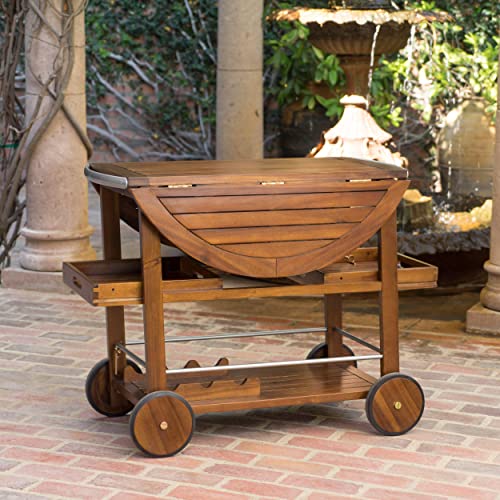 Christopher Knight Home Tillary Tiller Outdoor Acacia Wood Bar Cart Aluminum Accents, Dark Oak/Shiny Powder Coating #TOP2