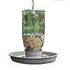 Hanging Mason Jar Bird Feeder (1)