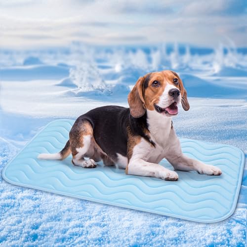 BaoDan Tapis Rafraichissant Chien Chat, 75x50cm Tapis Rafraichissant pour Chien, Soie Glacée Respirant, Coussin Rafraîchissant Lavable, Durable, Idéal pour Les Animaux de Compagnie en été, Bleu