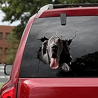 Autocollant De Voiture Chocolat Mini Teckel Chien Animal De Compagnie Imperméable Vinyle Décalcomanie Accessoires De Voiture Décor Pegatinas Para Coche