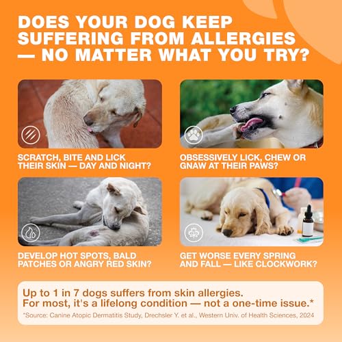 Image of Dog Allergy Relief Chews - Itch Relief for Dogs - 180 Allergy Chews for Itching Skin with Probiotics, Colostrum, Salmon Oil - Allergy, Skin and Coat, Immune, Digestion Support Supplement - Hot Spots