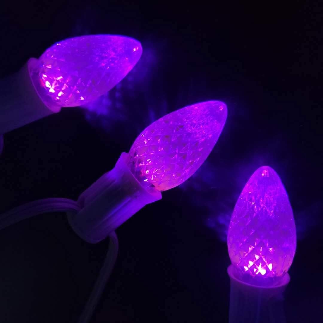 UL Listed Box of 25 C7 Led Replacement Bulbs,2 SMD LEDs in Each C7 Dimmable Lights Bulb for Outdoor String Lights,Full Waterproof and Break Resistant (Purple Color)