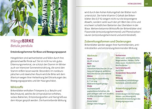 Grüne Hausapotheke für Hunde. Kompakt-Ratgeber: Heimische Heilpflanzen sicher anwenden