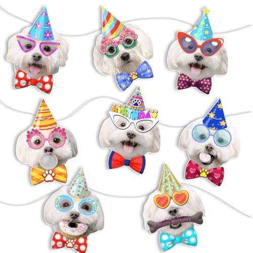 Image of Maltese Birthday Garland - Photographic Maltese Faces Birthday Banner, Funny White Maltese Bday Party Decoration for Maltese Lovers, Easy Assembly