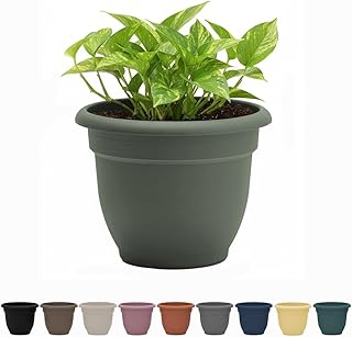 Bloem Self-watering round planter pot