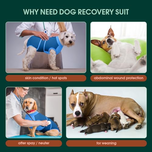 Image of Kuoser Dog Recovery Suit, Female /Male Post-Surgery Anti-Licking Pet Surgical Suit, Blue, Medium, Cotton and Spandex Blend, All Breed Sizes, Adult, All Seasons