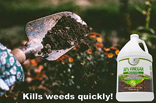 Natural Elements 30% Vinegar | Home & Garden, Cleaning | Concentrated | 1 Gallon