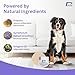 Pavia Power Pads | Natural Anti-Lick Healing Pads for Dogs and Horses | Prevents Licking and Supports Healing of Hot Spots, Sores, Wounds & Incisions | Propolis & Oregano Oil Formula | 42 Pads
