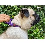 Tuff Pupper Heavy Duty Dog Collar with Handle | Ballistic Nylon Heavy Duty Collar | Padded Reflective Dog Collar with Adjustable Stainless Steel Hardware | Convenient Sizing for All Breeds - Image 6