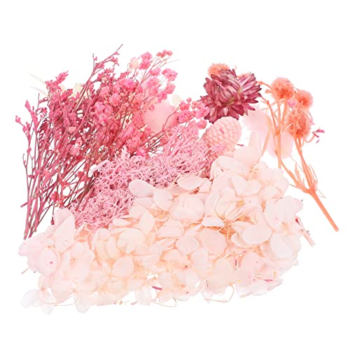 Flores secas prensadas para manualidades y decoración miniatura 1